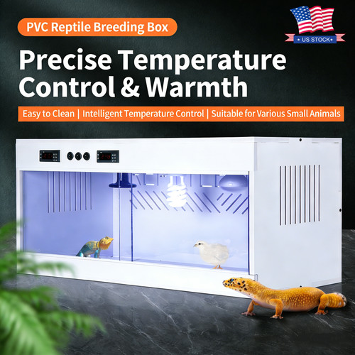 Reptile enclosure - reptile,