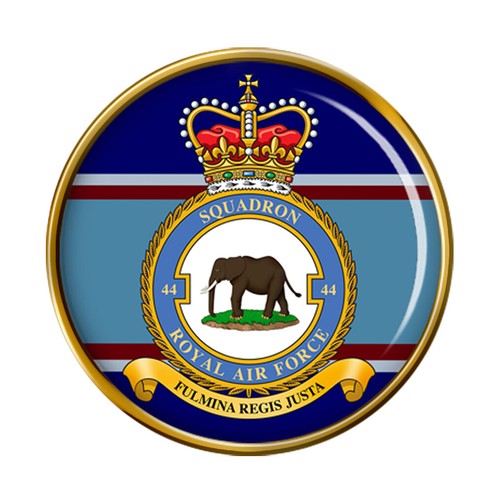 Squadron raf pin badge - raf,