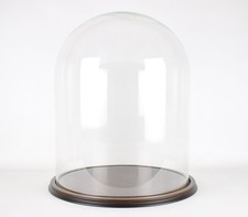 Large Glass Dome Cloche Jar Bell With Wooden Base Vintage Look 50 x 40cm