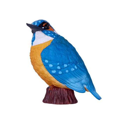 Mojo kingfisher bird wild - bird,