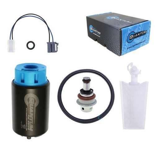 Qfs fuel pump reg - pump, seal