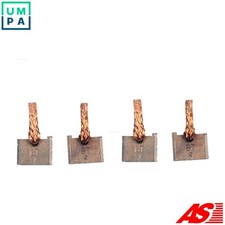 CARBON BRUSH STARTER