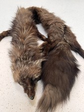 The Misses Mann Vintage Full