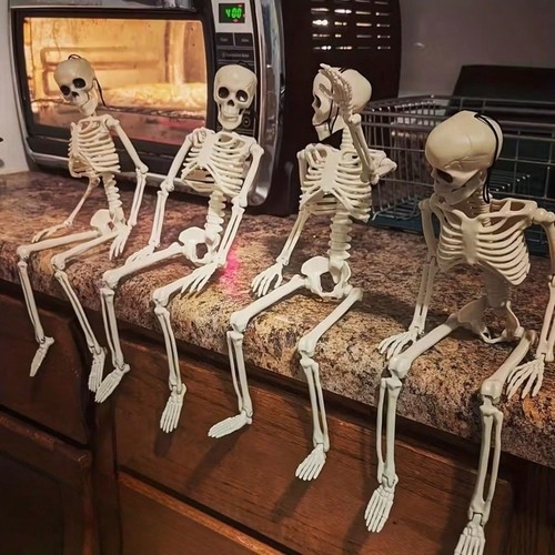 Halloween skeleton head - halloween,