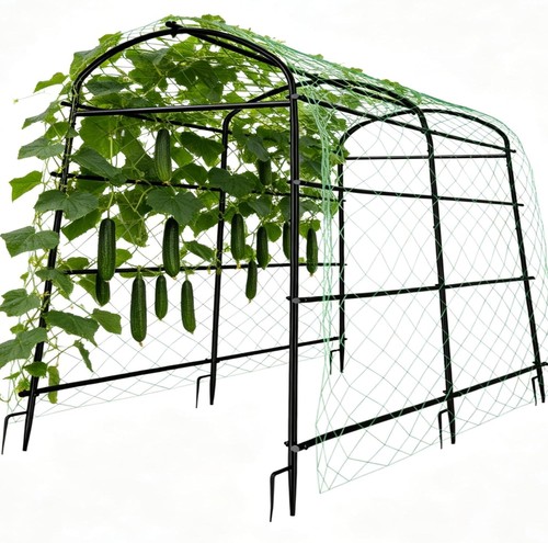 Walk through garden arch - through,