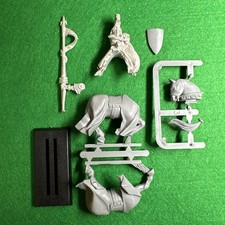 Warhammer Bretonnian General