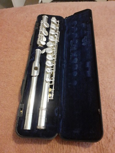 Vivace kurioshi flute - vivace, by