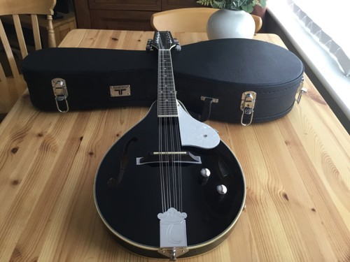 Tanglewood electro acoustic
