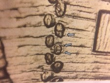 2009 P EC WDDR-041 Lincoln