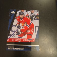 BRAD SCHOONBAERT ALT BASE AB-8