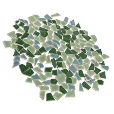 400 Mosaic Irregular Tiles
