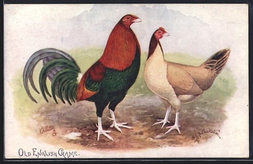 Artist postcard old - postcard, english