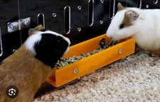 Guinealoft small pet - guinealoft,