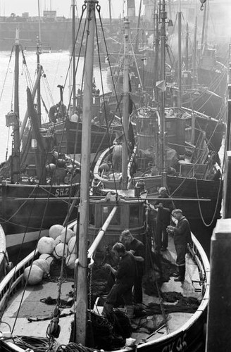 Fishing boats scarborough - fishing,
