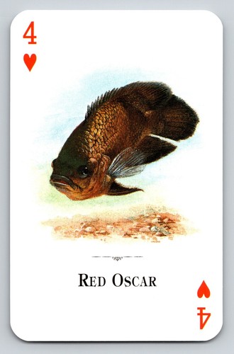 Swap card red - red, four