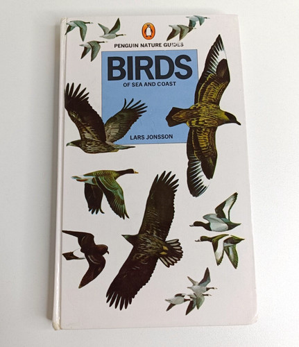 Birds sea and - coast, lars