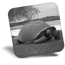 Awesome Fridge Magnet bw -