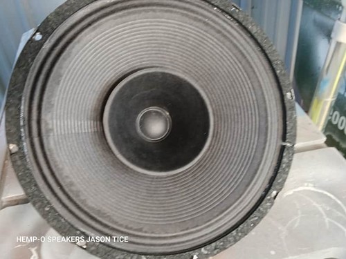 Alnico speaker 16 - 12",