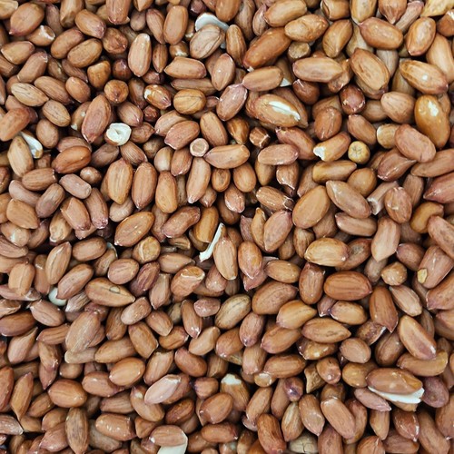 Peanuts for bird - for, food