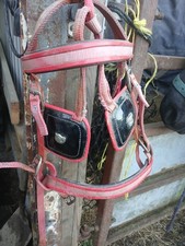 Zain Tack Driving Harness