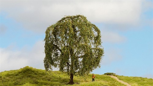 Still 20115 tree weeping - z, g
