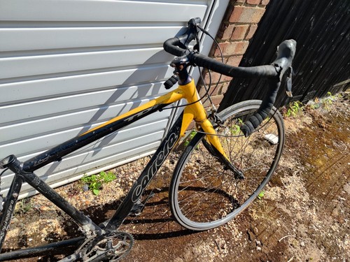 Carrera tdf ltd - tdf, road