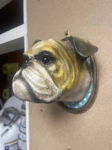 Faux taxidermy animal - taxidermy, heads