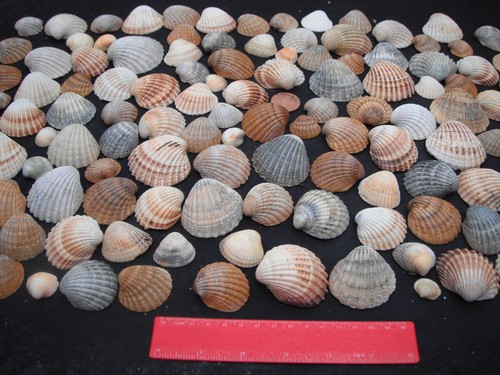 Job lot 120 - of, size/