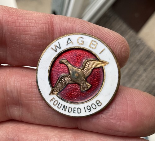 Vintage wagbi enamel pin - enamel,