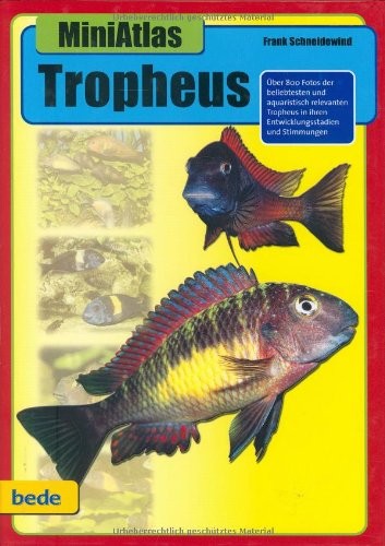Tropheus miniatlas frank - tropheus,,