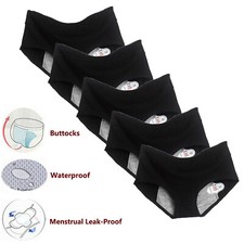 5 Pack Womens Period Knickers