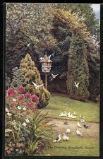 Stonelands / Sussex, The Dovecote, Postcard 