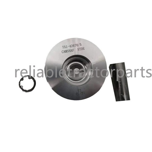 Piston with ring - with,