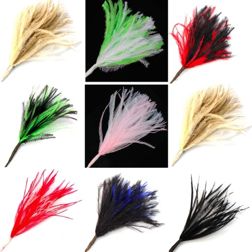 Wisps ostrich feathers - ostrich,