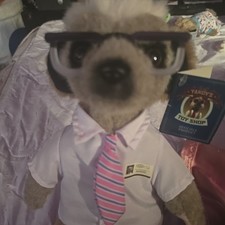 Sergei Meerkat Soft Toy