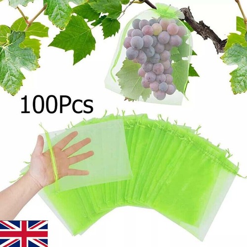 100x garden plant fruit - garden,