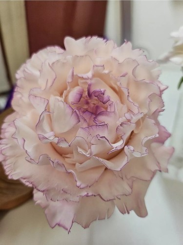 Edible sugar flowers