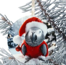 African Grey Parrot Christmas