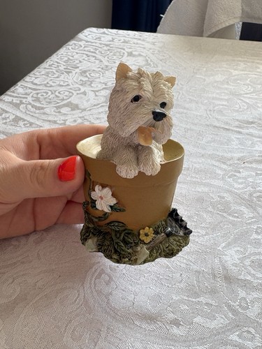 West highland terrier - west,