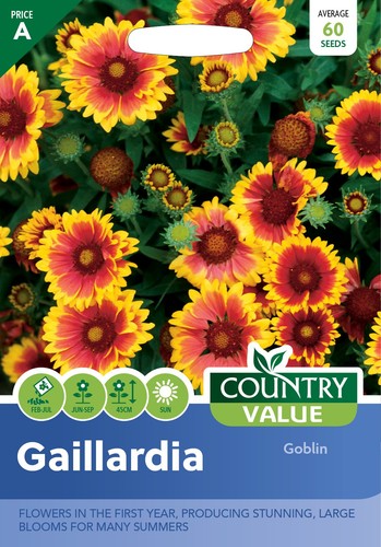 Flower seeds gaillardia goblin - flower,