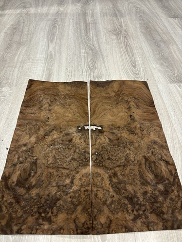 Burr walnut natural wood - burr,