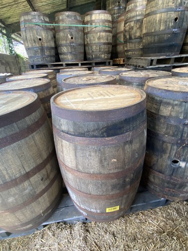 Whole oak whiskey - oak, barrels
