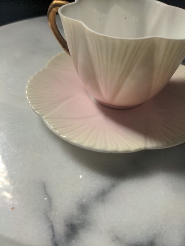 Shelley dainty cup and - shelley,