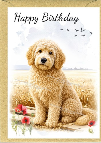 Goldendoodle labradoodle dog - /,