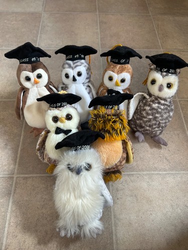 Class owl beanie - owl,