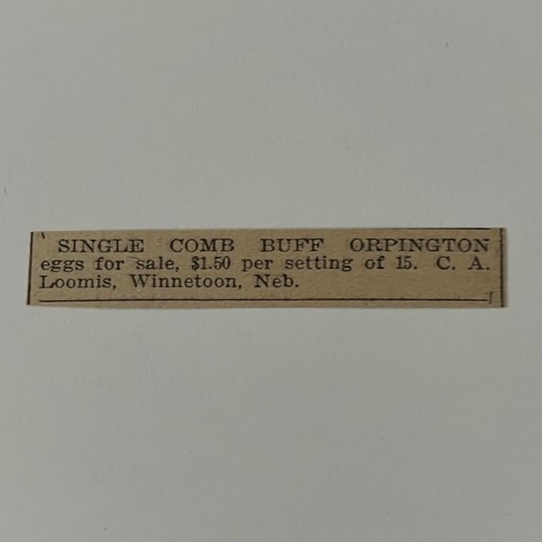 Single comb buff - single,