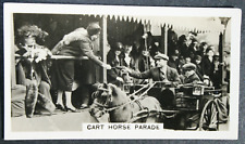 CART HORSE PARADE  Prize Pony