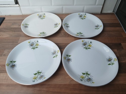 Vintage alfred meakin spring - meakin,