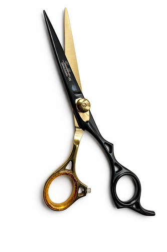 Professional pet dog - dog, grooming