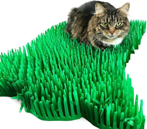 Premium green tissue - green, paper